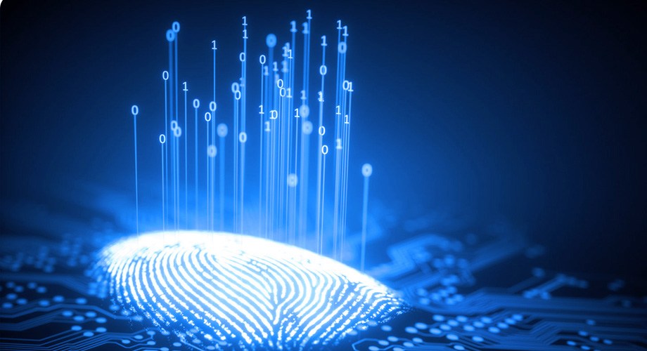 恒峰g22(国际)官网入口-天天有惊喜